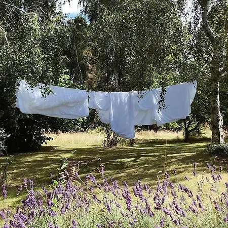 Nature And Peace In Beautiful Surroundings * Nykøbing Sjælland